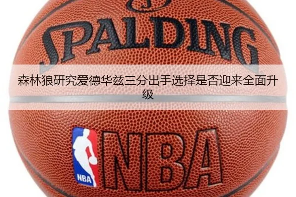 森林狼研究爱德华兹三分出手选择是否迎来全面升级
